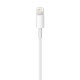 Cablu de Date Lightning la USB Original, 0.5m - Apple A1511 (ME291ZM/A) - White