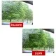 Folie Anticondens pentru Masina 150x200mm (set 2) - Techsuit - Clear Folie Anticondens pentru Masina 150x200mm (set 2) - Techsuit - Clear