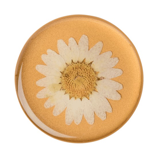 Suport pentru Telefon - Popsockets PopTop - Pressed Flower Daisy White